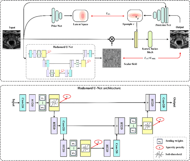 Figure 1 for A Probabilistic Hadamard U-Net for MRI Bias Field Correction