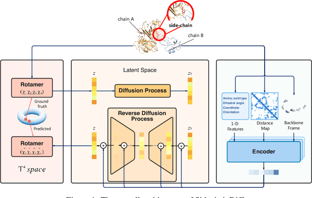 Figure 1 for Predicting mutational effects on protein-protein binding via a side-chain diffusion probabilistic model