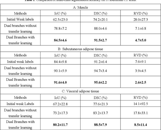 Figure 2 for Self and Mixed Supervision to Improve Training Labels for Multi-Class Medical Image Segmentation