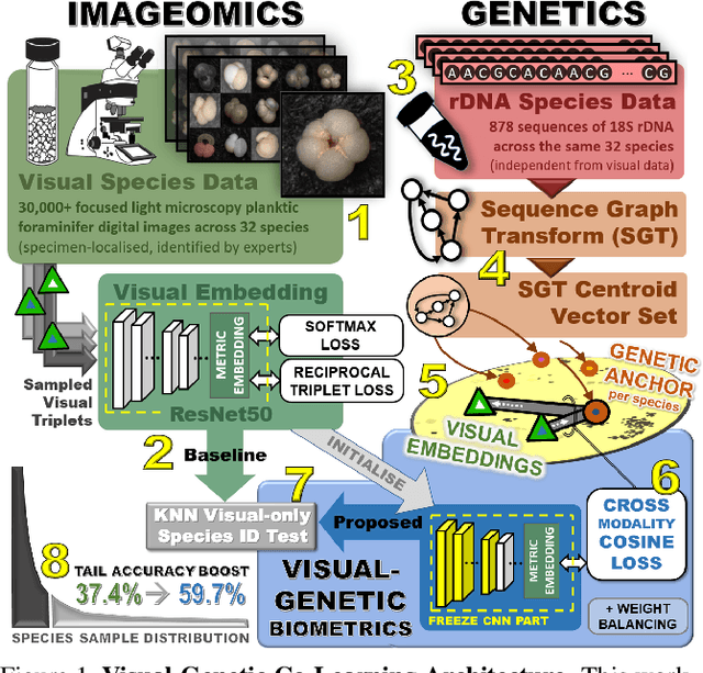 Figure 1 for Deep Visual-Genetic Biometrics for Taxonomic Classification of Rare Species