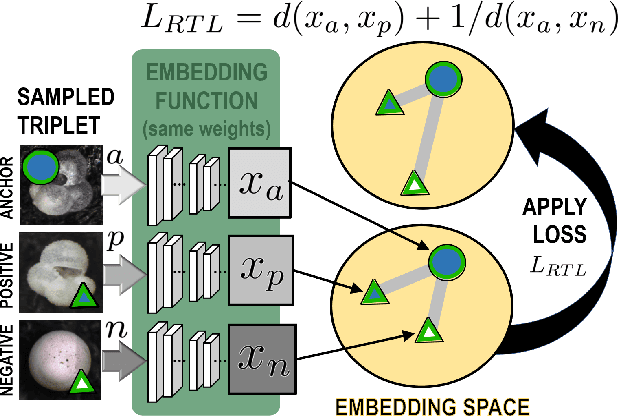 Figure 3 for Deep Visual-Genetic Biometrics for Taxonomic Classification of Rare Species