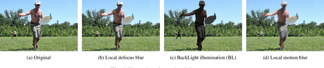 Figure 1 for Benchmarking performance of object detection under image distortions in an uncontrolled environment