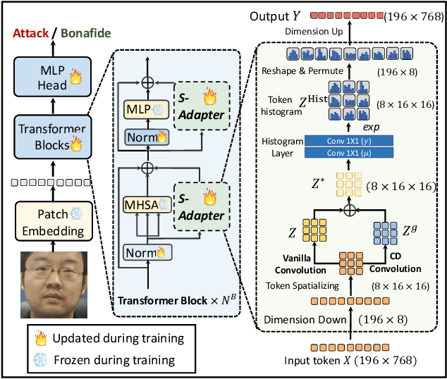 Figure 3 for S-Adapter: Generalizing Vision Transformer for Face Anti-Spoofing with Statistical Tokens