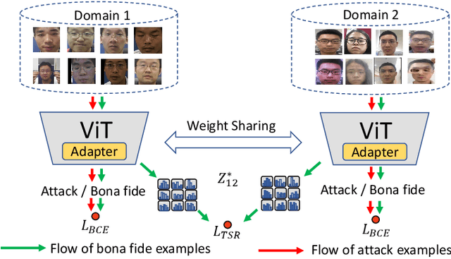 Figure 4 for S-Adapter: Generalizing Vision Transformer for Face Anti-Spoofing with Statistical Tokens