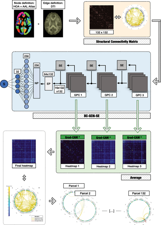 Figure 4 for Biomarker Investigation using Multiple Brain Measures from MRI through XAI in Alzheimer's Disease Classification