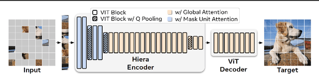 Figure 3 for Hiera: A Hierarchical Vision Transformer without the Bells-and-Whistles