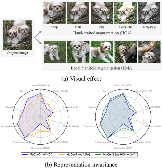 Figure 1 for Local Manifold Augmentation for Multiview Semantic Consistency