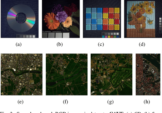 Figure 3 for Hyperspectral and Multispectral Image Fusion Using the Conditional Denoising Diffusion Probabilistic Model