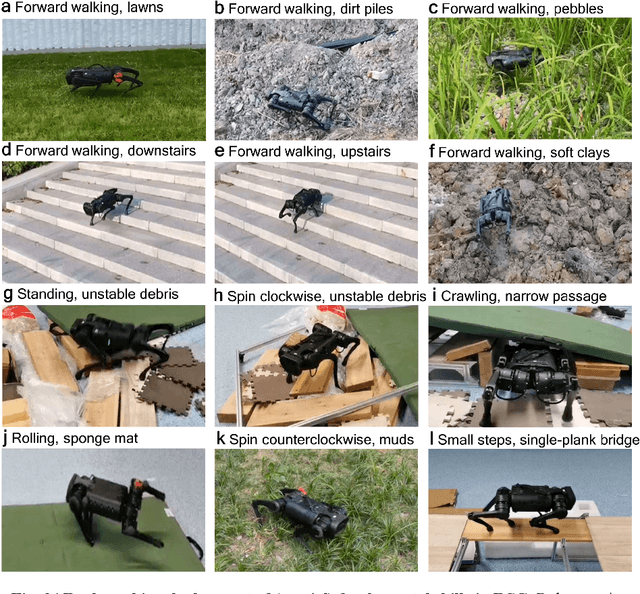 Figure 3 for RSG: Fast Learning Adaptive Skills for Quadruped Robots by Skill Graph
