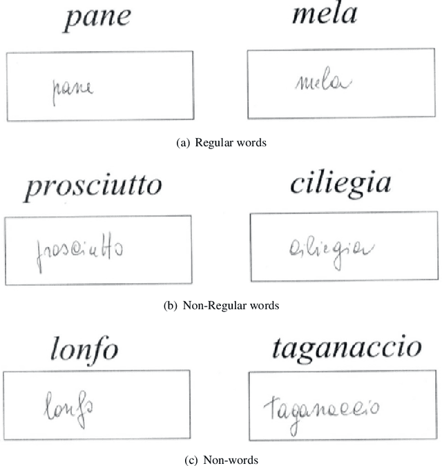 Figure 1 for How word semantics and phonology affect handwriting of Alzheimer's patients: a machine learning based analysis