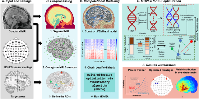 Figure 1 for Multi-objective optimization via evolutionary algorithm (MOVEA) for high-definition transcranial electrical stimulation of the human brain