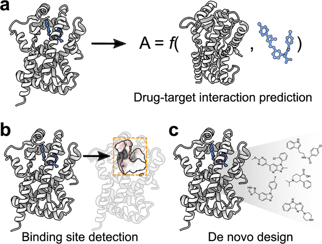 Figure 1 for Structure-based drug discovery with deep learning