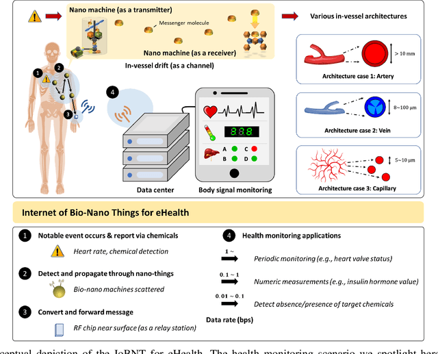 Figure 1 for The Internet of Bio-Nano Things in Blood Vessels: System Design and Prototypes