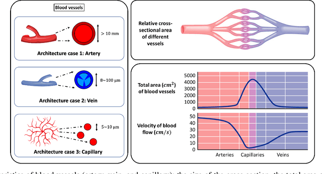 Figure 2 for The Internet of Bio-Nano Things in Blood Vessels: System Design and Prototypes