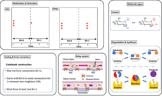 Figure 3 for The Internet of Bio-Nano Things in Blood Vessels: System Design and Prototypes