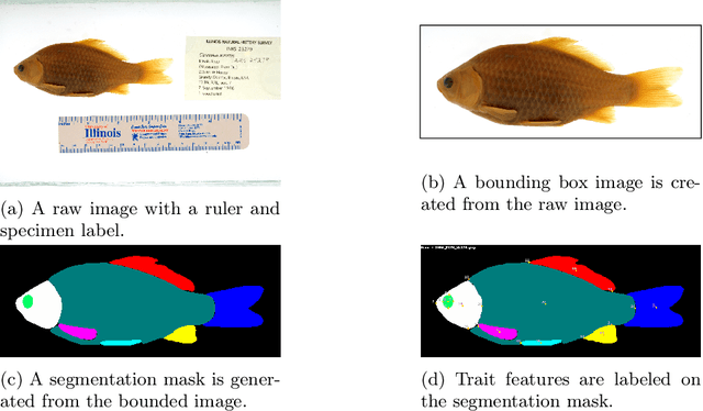 Figure 1 for Toward a Flexible Metadata Pipeline for Fish Specimen Images