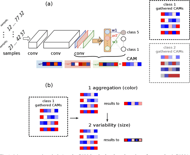 Figure 1 for Towards the Visualization of Aggregated Class Activation Maps to Analyse the Global Contribution of Class Features