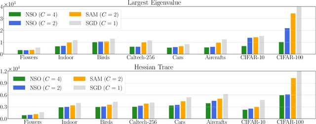 Figure 1 for Noise Stability Optimization for Flat Minima with Optimal Convergence Rates