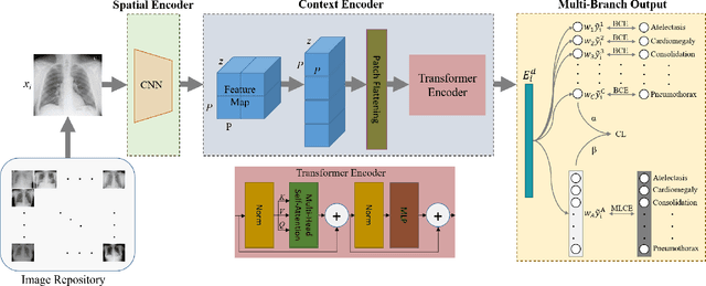 Figure 1 for HydraViT: Adaptive Multi-Branch Transformer for Multi-Label Disease Classification from Chest X-ray Images