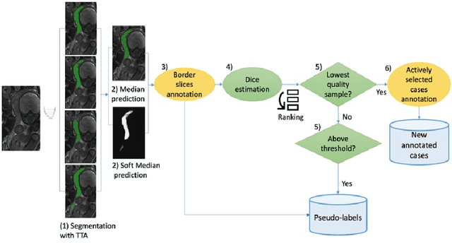 Figure 1 for Test-time augmentation-based active learning and self-training for label-efficient segmentation
