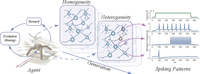Figure 1 for Dive into the Power of Neuronal Heterogeneity