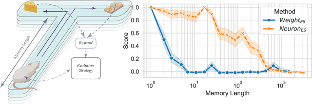 Figure 3 for Dive into the Power of Neuronal Heterogeneity