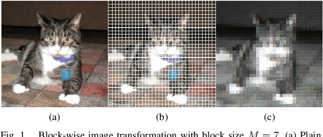Figure 1 for Hindering Adversarial Attacks with Multiple Encrypted Patch Embeddings