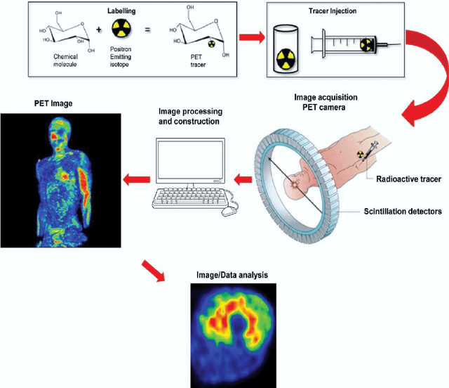 Figure 2 for Medical Image Segmentation with Belief Function Theory and Deep Learning