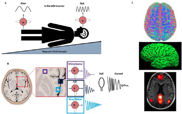 Figure 3 for Medical Image Segmentation with Belief Function Theory and Deep Learning