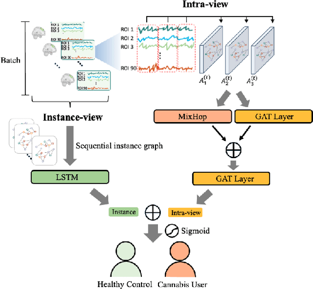 Figure 1 for Identification of Craving Maps among Marijuana Users via Analysis of Functional Brain Networks with High-Order Attention Graph Neural Networks