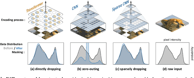 Figure 1 for Designing BERT for Convolutional Networks: Sparse and Hierarchical Masked Modeling