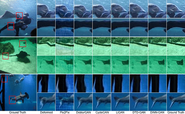 Figure 2 for Deformation-Invariant Neural Network and Its Applications in Distorted Image Restoration and Analysis