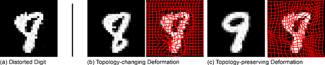 Figure 1 for Deformation-Invariant Neural Network and Its Applications in Distorted Image Restoration and Analysis