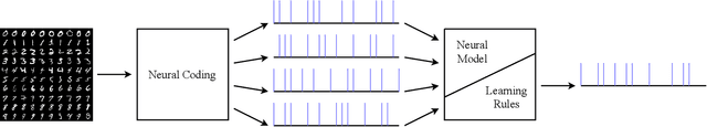 Figure 1 for Models Developed for Spiking Neural Networks