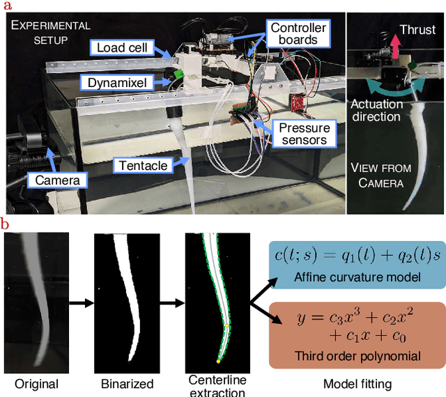 Figure 3 for Proprioceptive Sensing of Soft Tentacles with Model Based Reconstruction for Controller Optimization