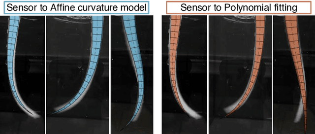 Figure 4 for Proprioceptive Sensing of Soft Tentacles with Model Based Reconstruction for Controller Optimization