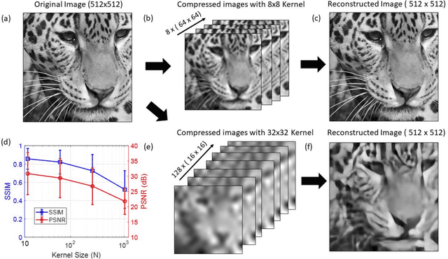 Figure 3 for Integrated Photonic Encoder for Terapixel Image Processing
