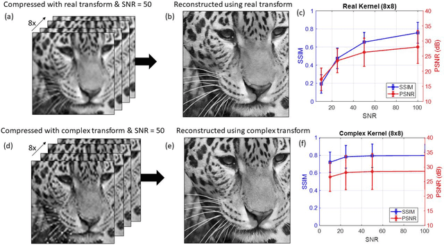 Figure 4 for Integrated Photonic Encoder for Terapixel Image Processing