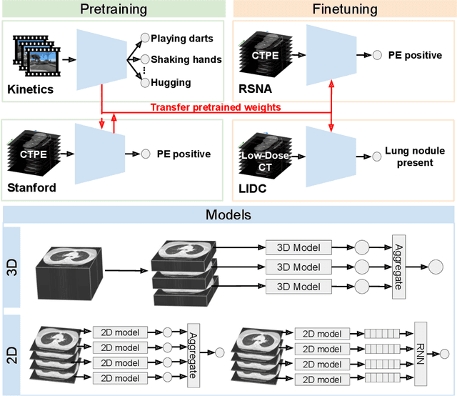 Figure 1 for Video Pretraining Advances 3D Deep Learning on Chest CT Tasks