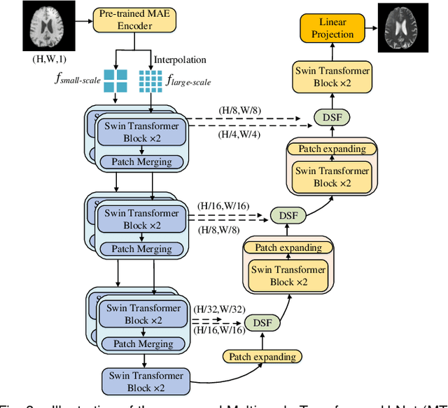 Figure 4 for SLMT-Net: A Self-supervised Learning based Multi-scale Transformer Network for Cross-Modality MR Image Synthesis