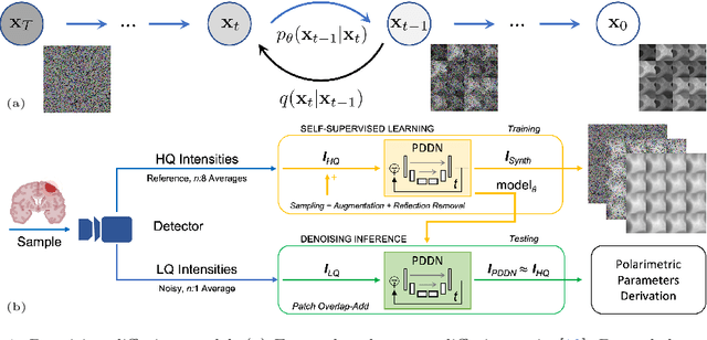 Figure 1 for Near-Real-Time Mueller Polarimetric Image Processing for Neurosurgical Intervention