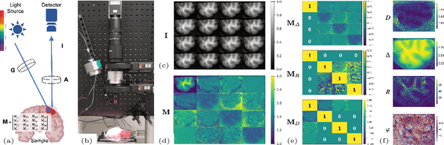 Figure 3 for Near-Real-Time Mueller Polarimetric Image Processing for Neurosurgical Intervention