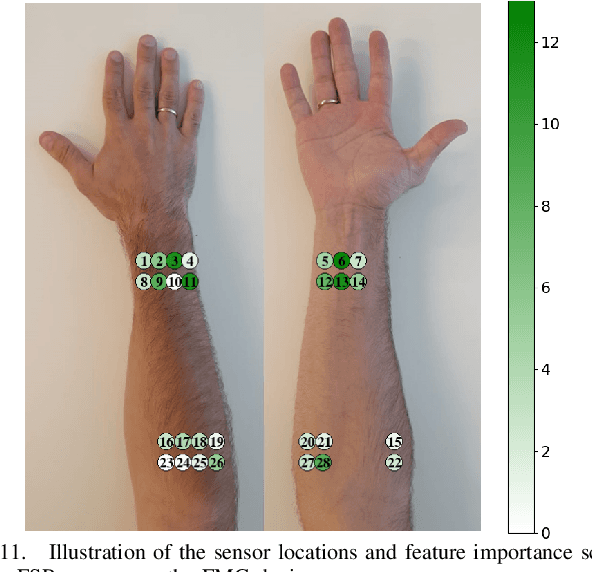 Figure 3 for TeleFMG: A Wearable Force-Myography Device for Natural Teleoperation of Multi-finger Robotic Hands