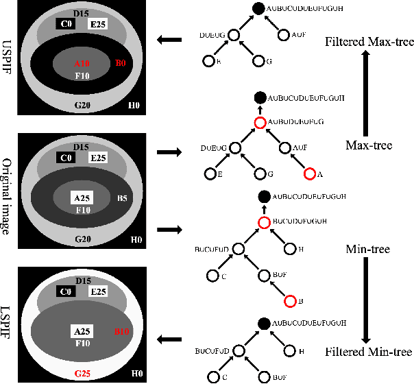 Figure 1 for Dual Structure-Preserving Image Filterings for Semi-supervised Medical Image Segmentation