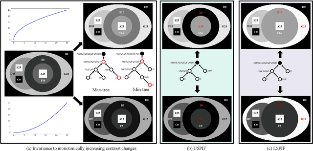 Figure 3 for Dual Structure-Preserving Image Filterings for Semi-supervised Medical Image Segmentation