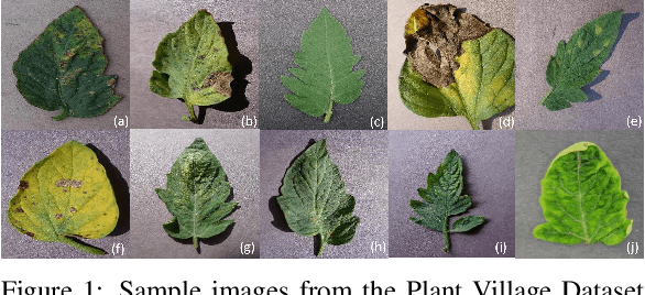 Figure 1 for Concept explainability for plant diseases classification
