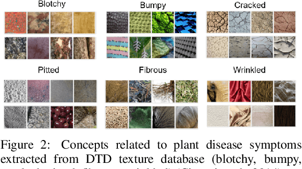 Figure 4 for Concept explainability for plant diseases classification