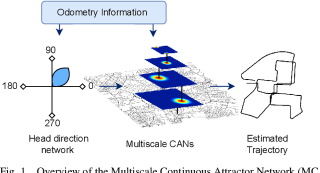 Figure 1 for Trajectory Tracking via Multiscale Continuous Attractor Networks