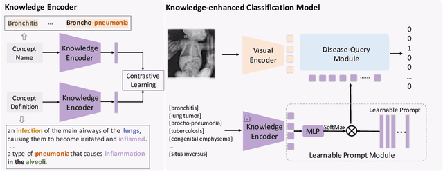 Figure 3 for K-Diag: Knowledge-enhanced Disease Diagnosis in Radiographic Imaging