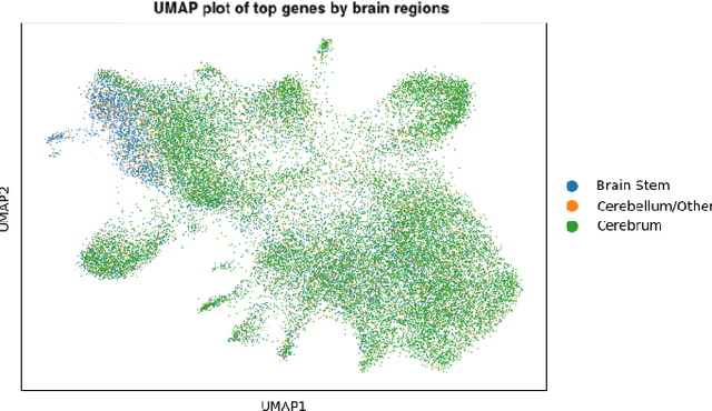 Figure 1 for Graph Neural Operators for Classification of Spatial Transcriptomics Data